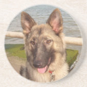 Onderzetter German Shepherd (Voorkant)