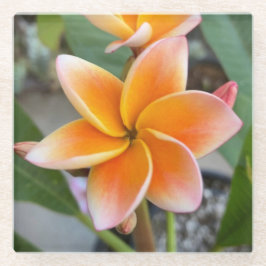 Onderzetter, Glas - Plumeria Glazen Onderzetter