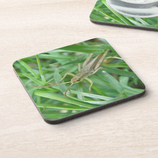 Onderzetter Grasshopper Cork (Linkerzijde)