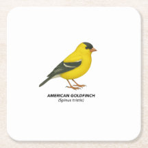 Onderzetter instellen