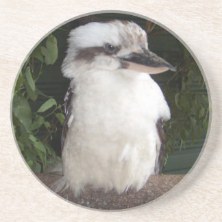 Onderzetter Kookaburra