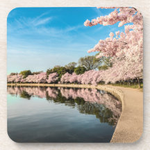 Onderzetter lentesectie