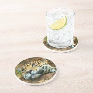 Onderzetter Leopard Stone