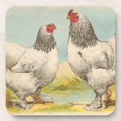  Onderzetter "Light Brahama Chicken" (Voorkant)