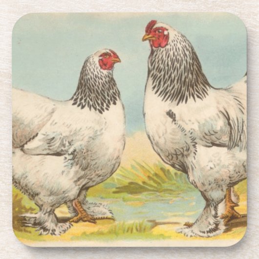  Onderzetter "Light Brahama Chicken" (Voorkant)