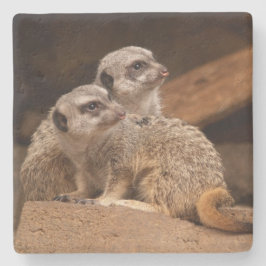 Onderzetter Meerkat Square