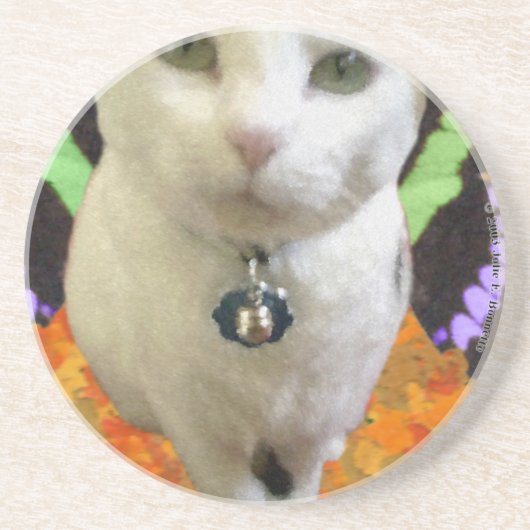 Onderzetter met airy Cat (Voorkant)