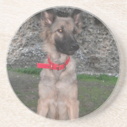 Onderzetter met Duitse herder (Voorkant)