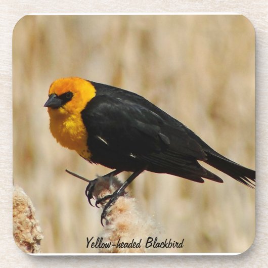 Onderzetter met gele kopvogels (Voorkant)