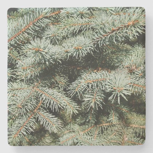 Onderzetter met groene pijngrens (Voorkant)