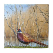 Onderzetter met ringnecker tegeltje (Voorkant)