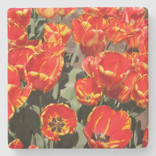 Onderzetter met rode tulpen (Voorkant)