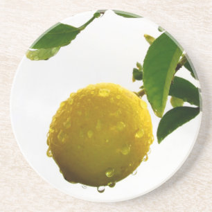 Onderzetter - Natte citroen