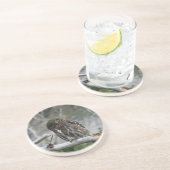 Onderzetter Noord-Pygmy Owl (Zijkant)