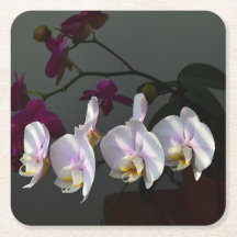 Onderzetter Orchid Paper