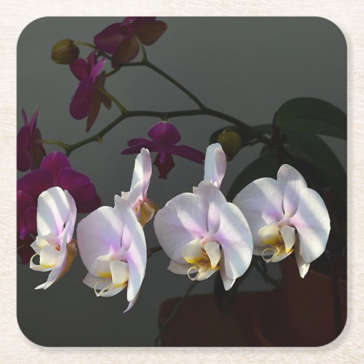 Onderzetter Orchid Paper (Voorkant)