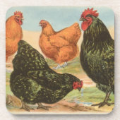  Onderzetter "Orpington Chicken" (Voorkant)