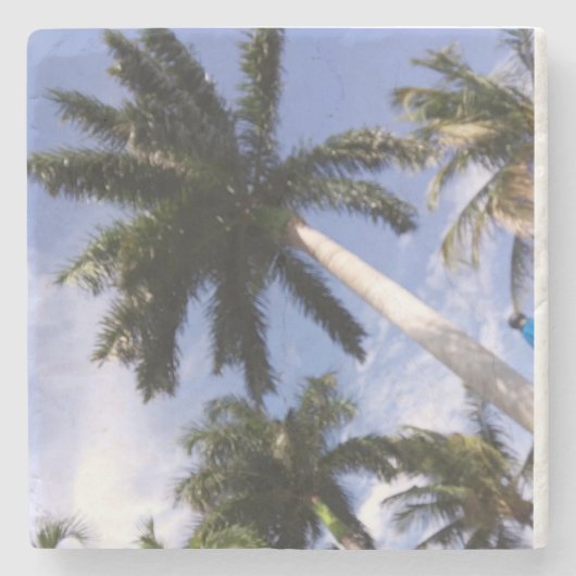 Onderzetter palmbomen (Voorkant)