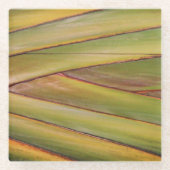 Onderzetter palmbomen (Voorkant)