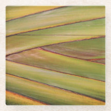 Onderzetter palmbomen