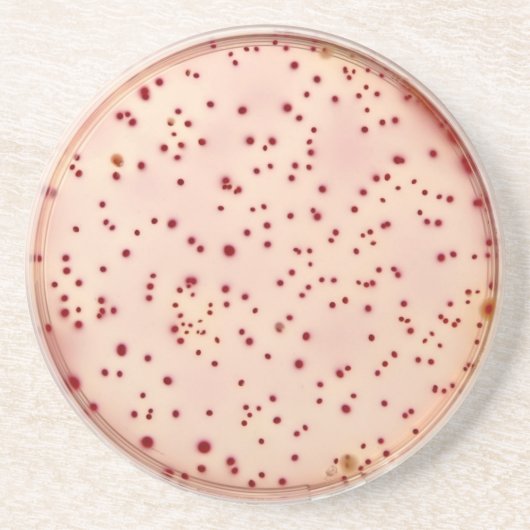 Onderzetter petrischaaltje (Voorkant)