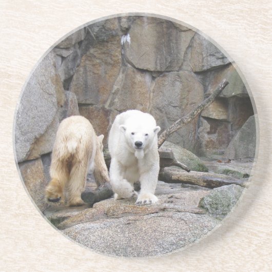 ONDERZETTER POLAR BEER (Voorkant)