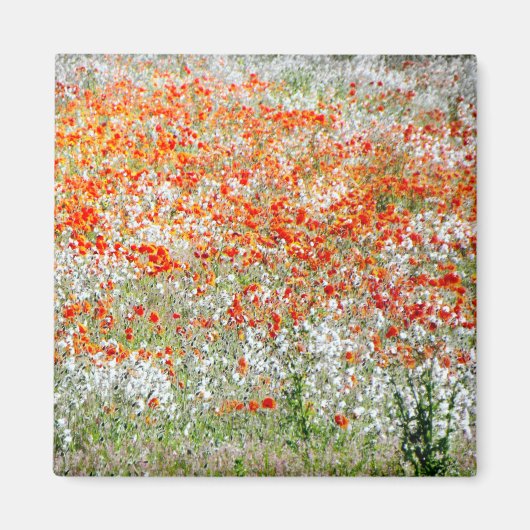 Onderzetter rode en witte bloemen magneet (Voorkant)