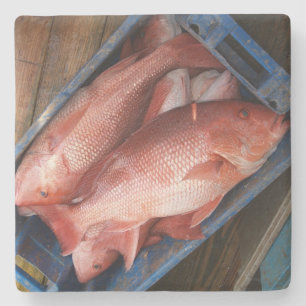 Onderzetter Rode Snapper Square