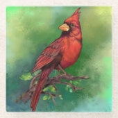 Onderzetter schilderen van noordelijk rood kardina (Voorkant)