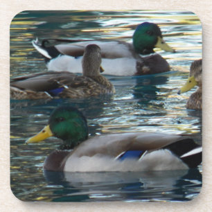 Onderzetter set - Duck, Duck, Duck, Duck