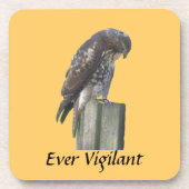 Onderzetter set - Falcon - Ever Vigilant (Voorkant)