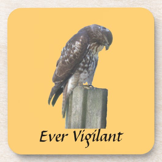Onderzetter set - Falcon - Ever Vigilant (Voorkant)