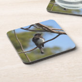 Onderzetter set - Flycatcher (Linkerzijde)