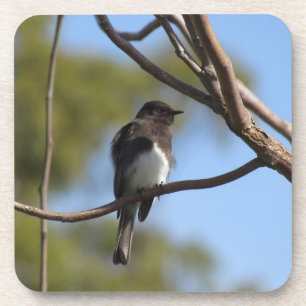 Onderzetter set - Flycatcher