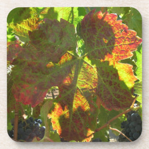 Onderzetter set - Grape leaf