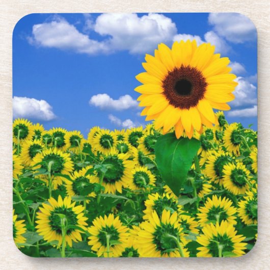 Onderzetter Set-Sunflower (Voorkant)