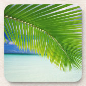 Onderzetter Set-Tropics (Voorkant)