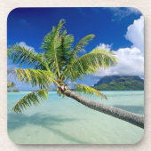 Onderzetter Set-Tropics (Voorkant)