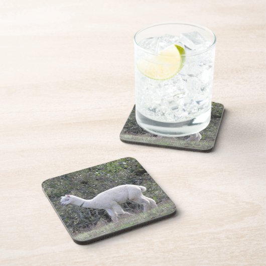 Onderzetter set - White Alpaca (Rechterzijde)