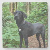  Onderzetter! Sip en staar naar je pup Stenen Onderzetter (Voorkant)