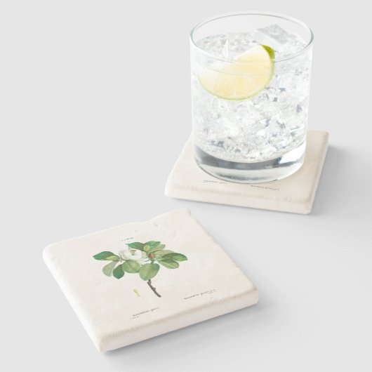 ONDERZETTER STONE : MAGNOLIA : REDOUTÉ (Zijkant)