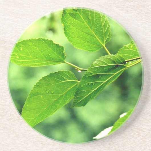 onderzetter 'Summer Leaves with Raindrops' (Voorkant)