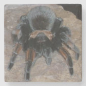 Onderzetter Tarantula Stone (Voorkant)