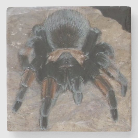Onderzetter Tarantula Stone (Voorkant)