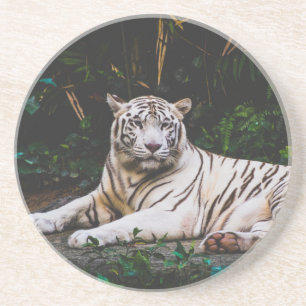 Onderzetter Tiger