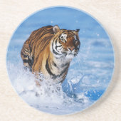 Onderzetter tijger stone (Voorkant)