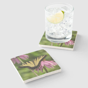 Onderzetter tijger Swallowtail Butterfly Stone