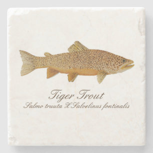 Onderzetter tijgerforel