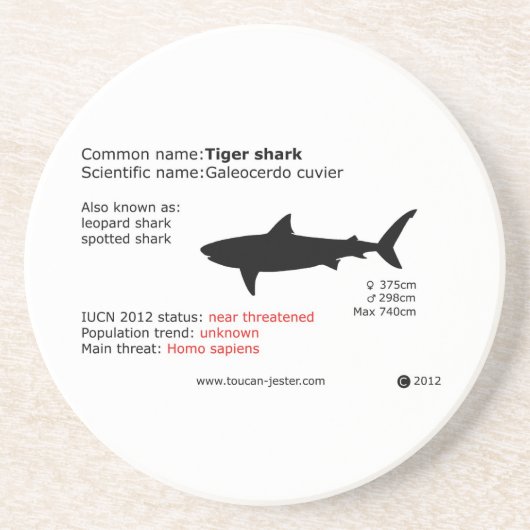 Onderzetter tijgerhaai (Voorkant)