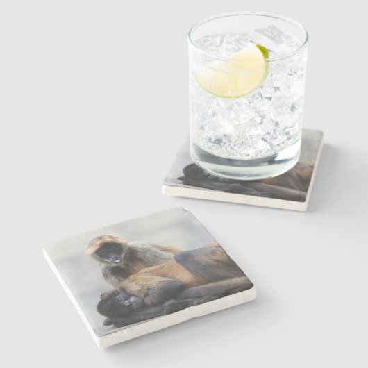 Onderzetter van apen (Zijkant)